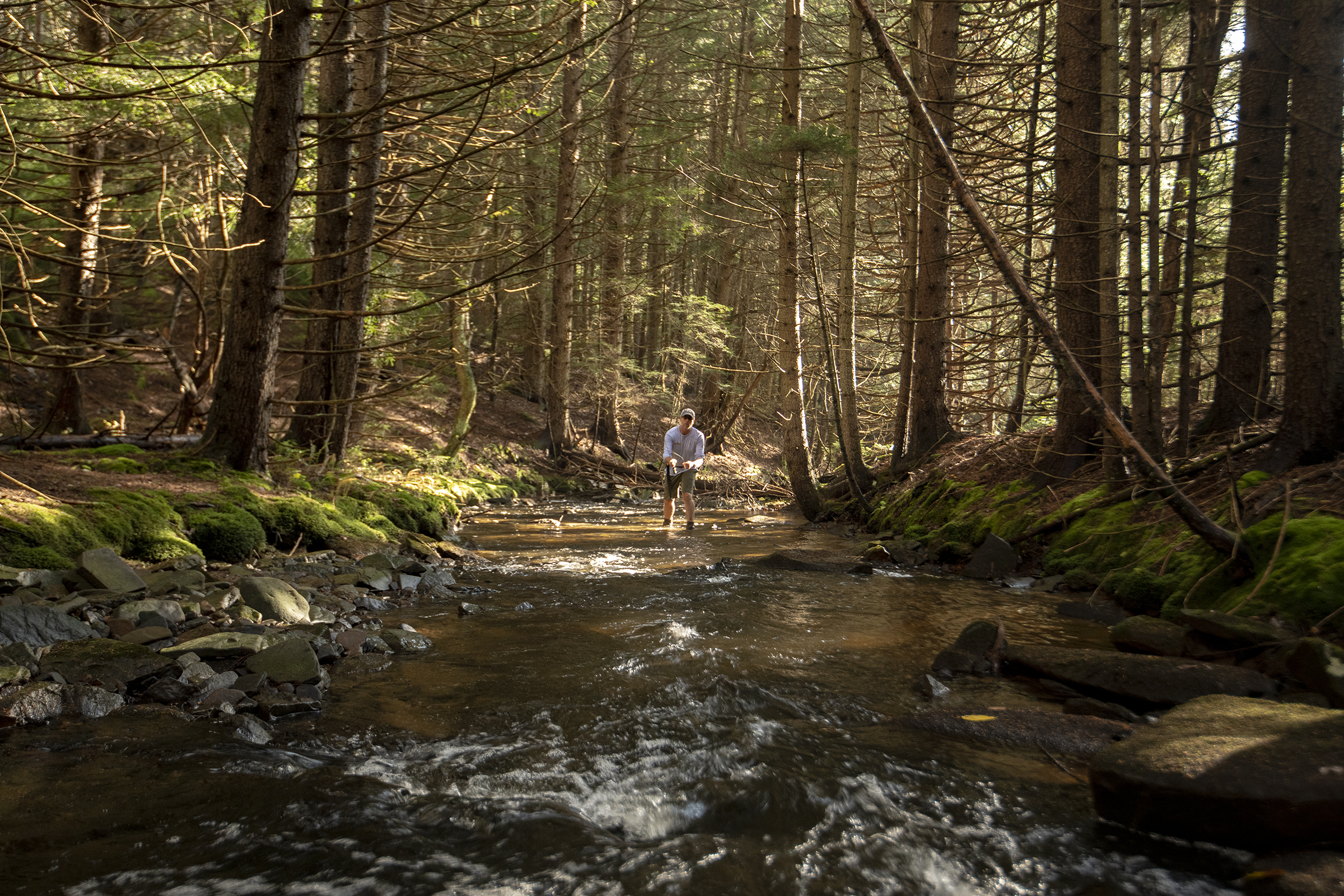 Fly Fishing Asheville, NC