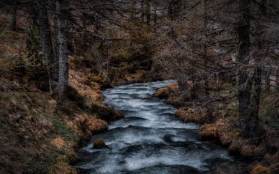 A River’s Destiny: The battle for wild and scenic status